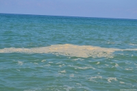 Mar Tirreno sporco diventa &quot;affare nazionale&quot;, c&#039;è interrogazione a Ministro Galletti