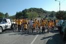 biciclando 2014-14