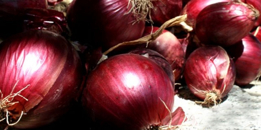 Cipolla Igp, l'"oro rosso" di Tropea