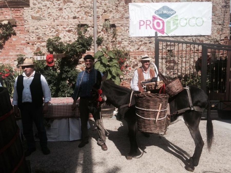 Festa della vendemmia 2014