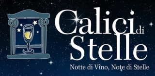 Calici di Stelle 2014 a Soveria Mannelli